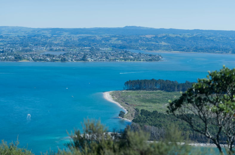 Panoramic vista from the hilltop at the bay, featuring shimmering water, distant boats, and lush greenery.