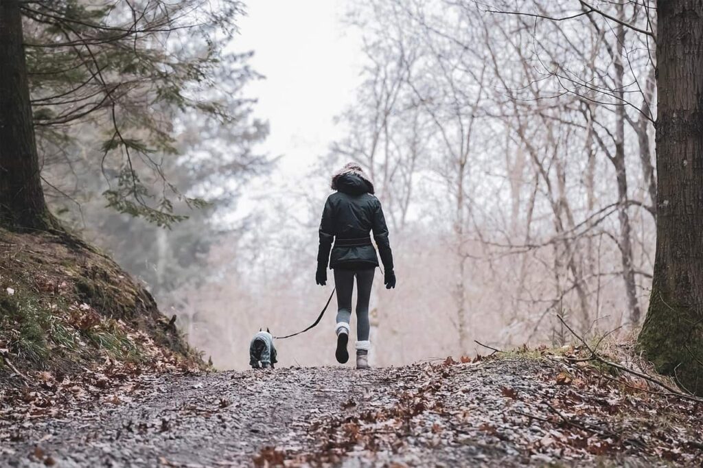 A woman walks her dog along a wooded trail, surrounded by trees and natural scenery.
