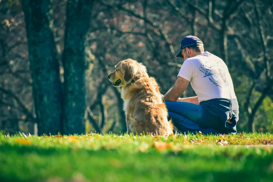 A man kneels in the grass, affectionately interacting with his dog.