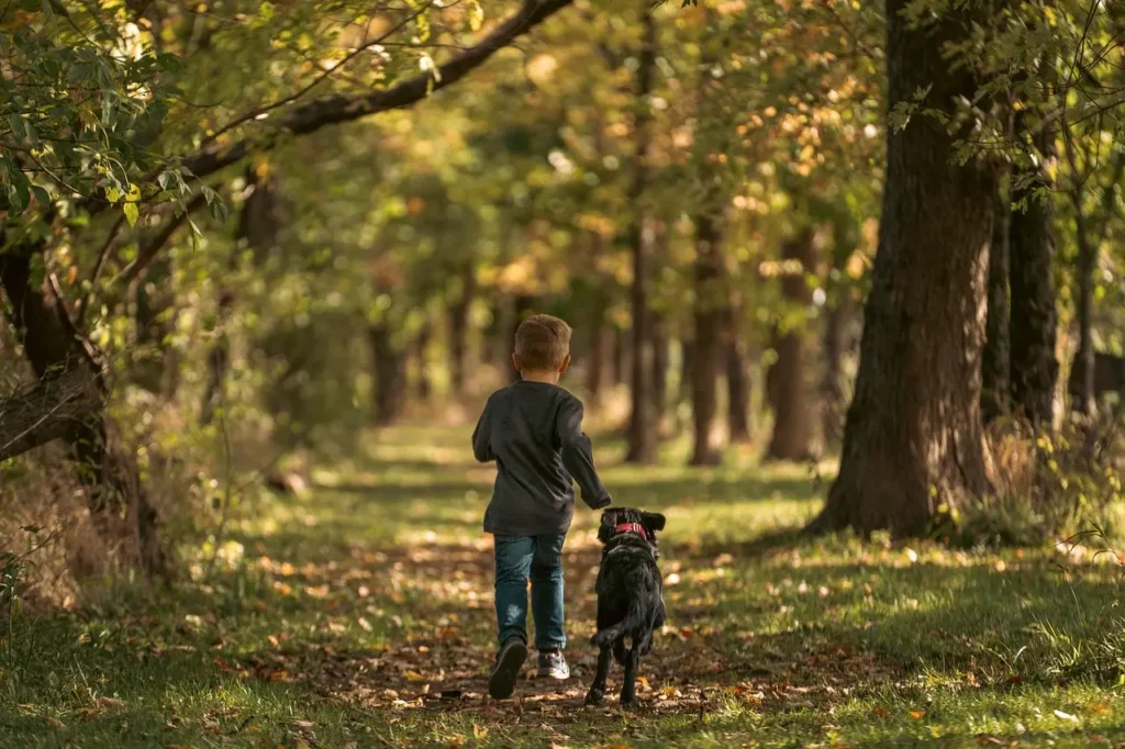 A boy and his dog stroll through a lush green forest, surrounded by tall trees and dappled sunlight.
