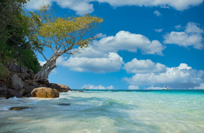 A scenic beach featuring rocks and a solitary tree along the shore, with gentle waves lapping at the sand.